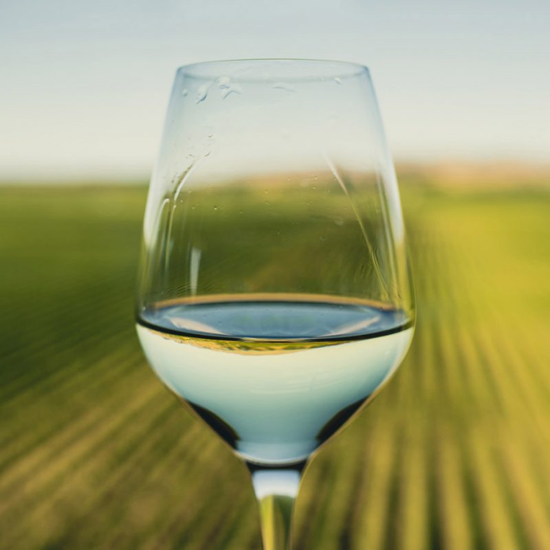 Marlborough Springs wine glass
